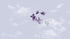 LPD Floating Flower in Purple Desktop Wallpaper